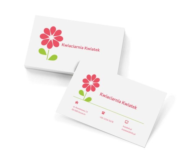 Różowa stokrotka, Środowisko i Przyroda, Kwiaciarnia - Wizytówki Netprint szablony online