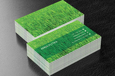 Zielona trawa, Motywy, Roślinne - Wizytówki Netprint