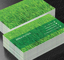 Zielona trawa, Motywy, Roślinne - Wizytówki Netprint