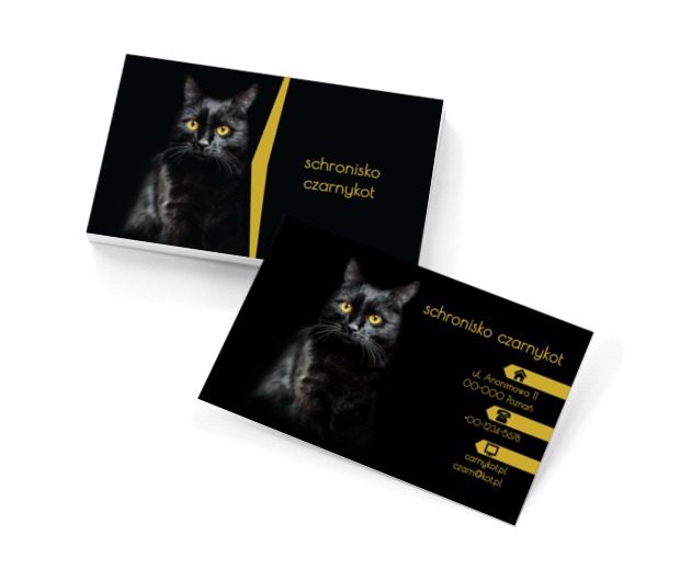 Czarny kot, Środowisko i Przyroda, Schronisko - Wizytówki Netprint szablony online