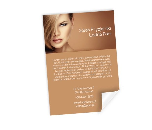 Dużo treści i obietnica, Zdrowie i uroda, Salon fryzjerski - Plakaty Netprint szablony online