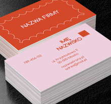 Pastelowa elegancja z akcentem retro, Motywy, Uniwersalne - Wizytówki Netprint