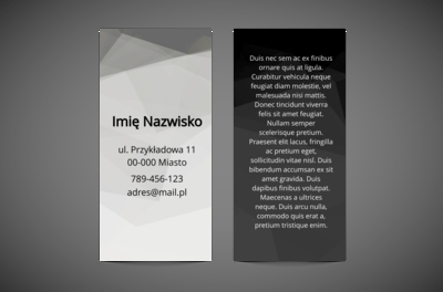 Stylowy akcent w kompaktowym formacie, Motywy, Abstrakcja - Ulotki Netprint