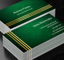 Klasyczna elegancja dla branży finansowej, Finanse i ubezpieczenia, Kredyty / Pożyczki - Wizytówki Netprint